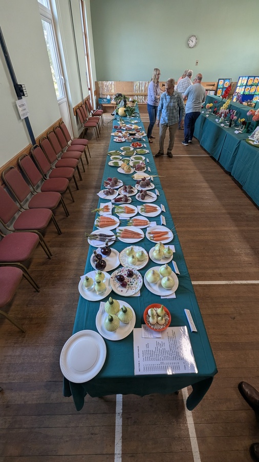 Section 3 Veg_i